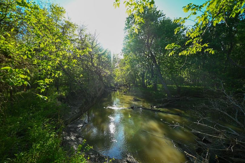 vandalia 450 (2)-3036