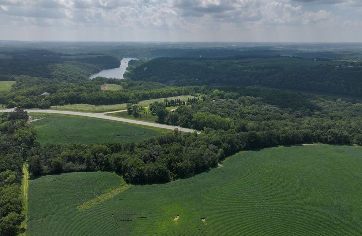 Olmsted 42.63 New-05