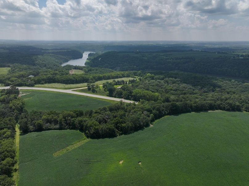 Olmsted 42.63 New-05