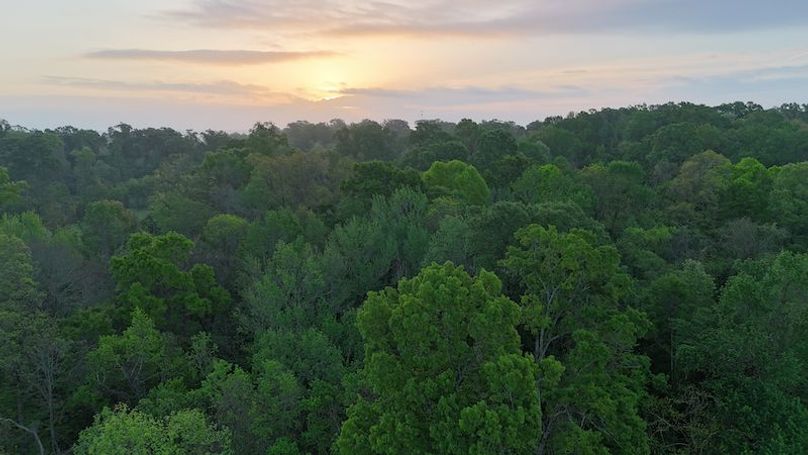 Claiborne Co-314-Fernandez-22