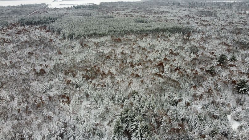 dji_fly_20240111_114122_861_1704995469630_photo_optimized 3