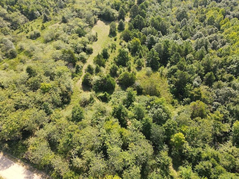 dji_fly_20240808_095140_297_1723128718302_photo