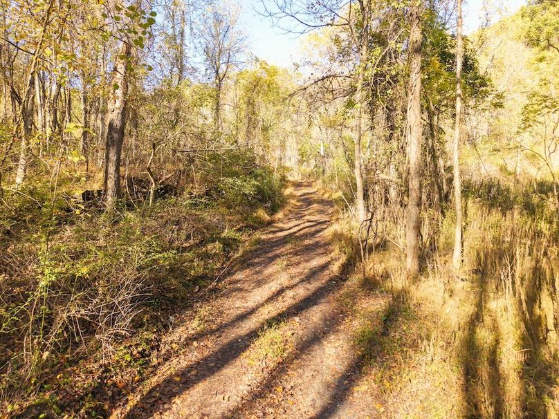 DJI_20251015101513_0051_D