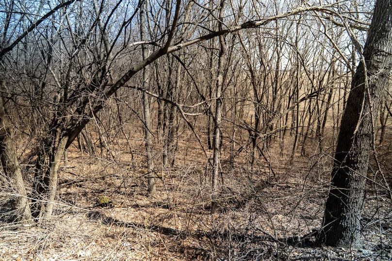 Whiteside IL 49.22_34