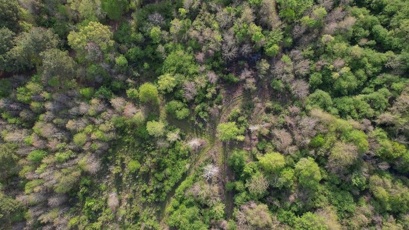 DJI_0450