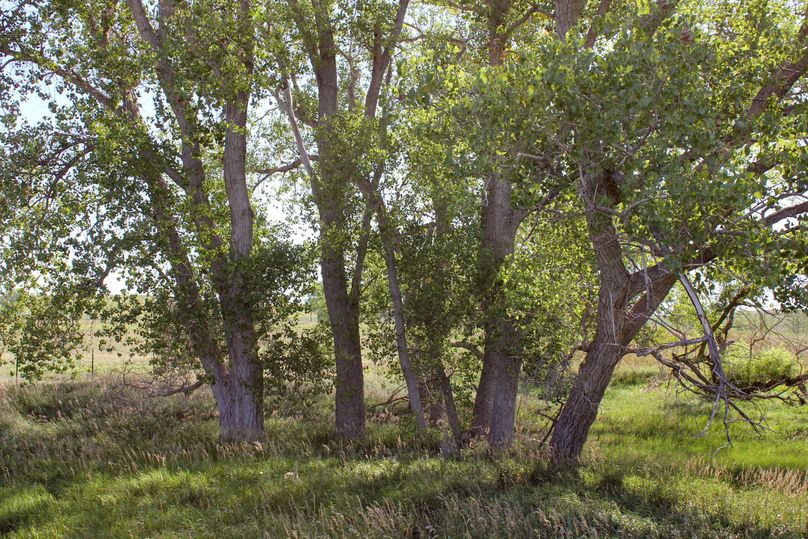 Cloud, KS, 119.68_026