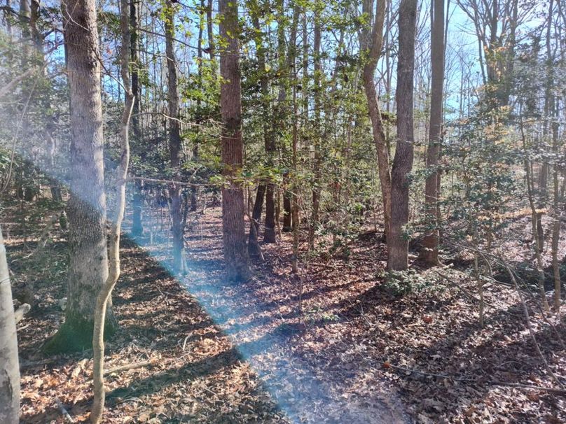IMG_20240204_142328424_HDR