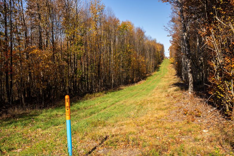 Elk PA 7000 Feature_Pro Photo-103