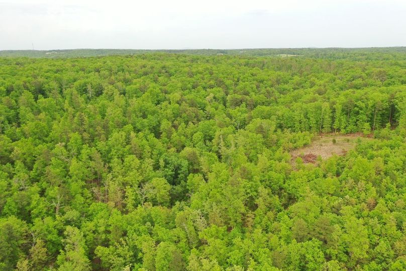 DJI_0800