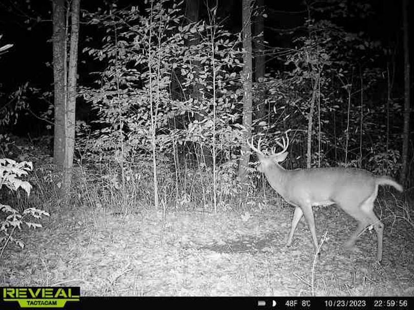 865814048724973-100-3-10232023225956-W1011778