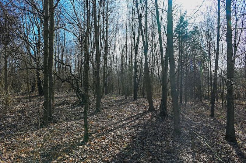 vandalia 450 (2)-1715