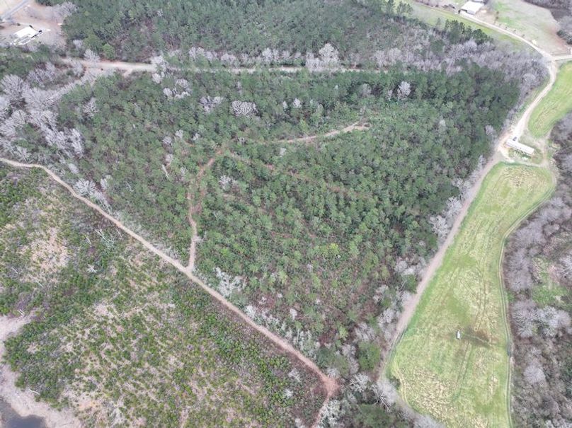 dji_fly_20260217_132250_0104_1771436917904_photo