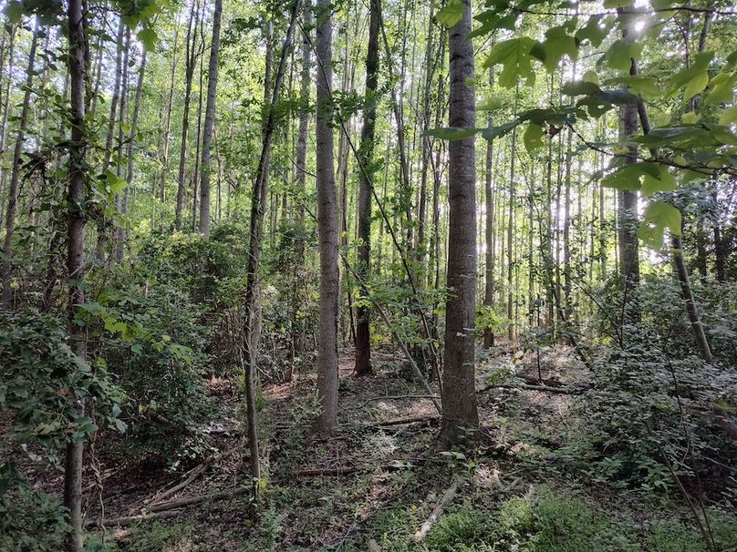 IMG_20250518_172959921_HDR