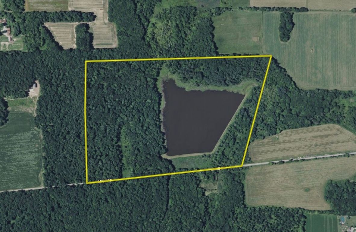 Screen Shot 2025-07-14 at 4.08.46 PM