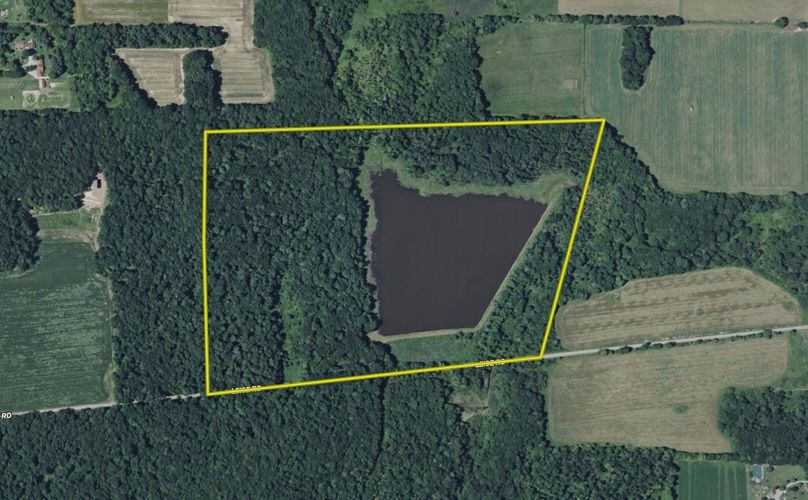 Screen Shot 2025-07-14 at 4.08.46 PM