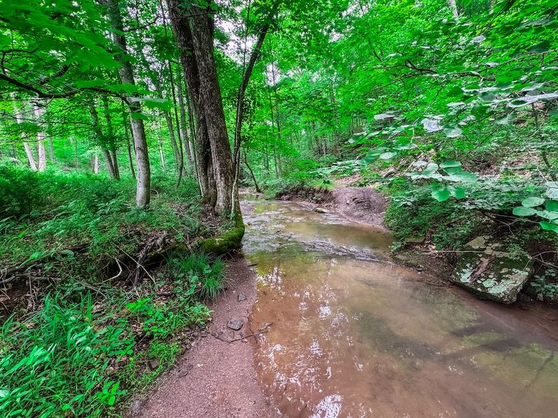 Tyler, WV 313.87 AC -47