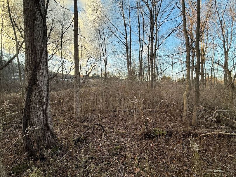 Wayne_29.09_BD_LandParcel_15