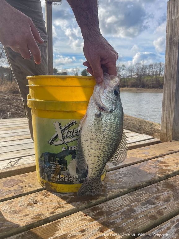 Holmes County - 108 - Rodriguez-9