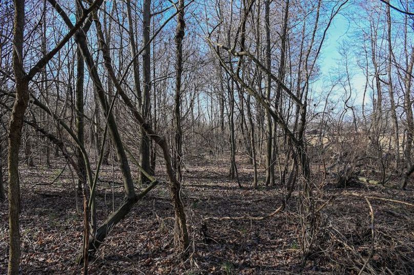 vandalia 450 (2)-1705