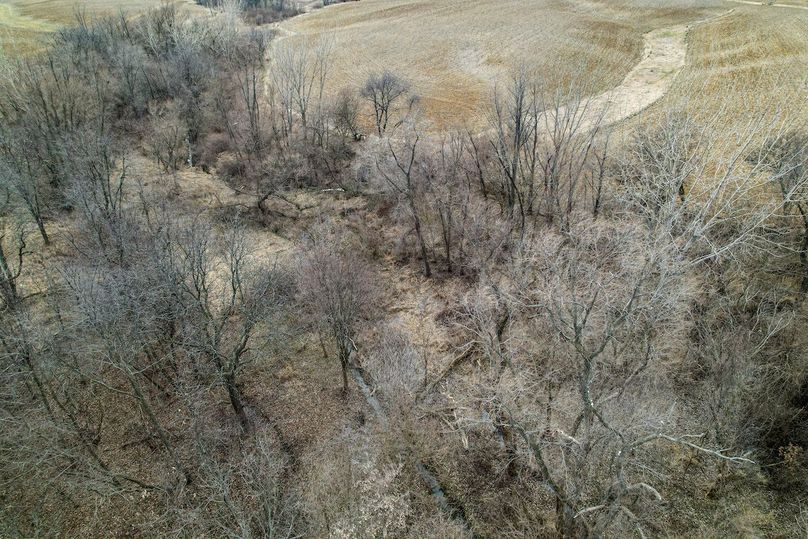 3605 Big Hill Rd.-31