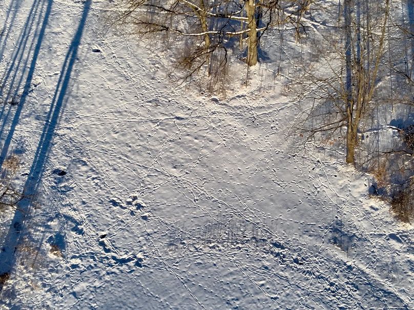 Copy of Tract 5 Tracks #2 Large