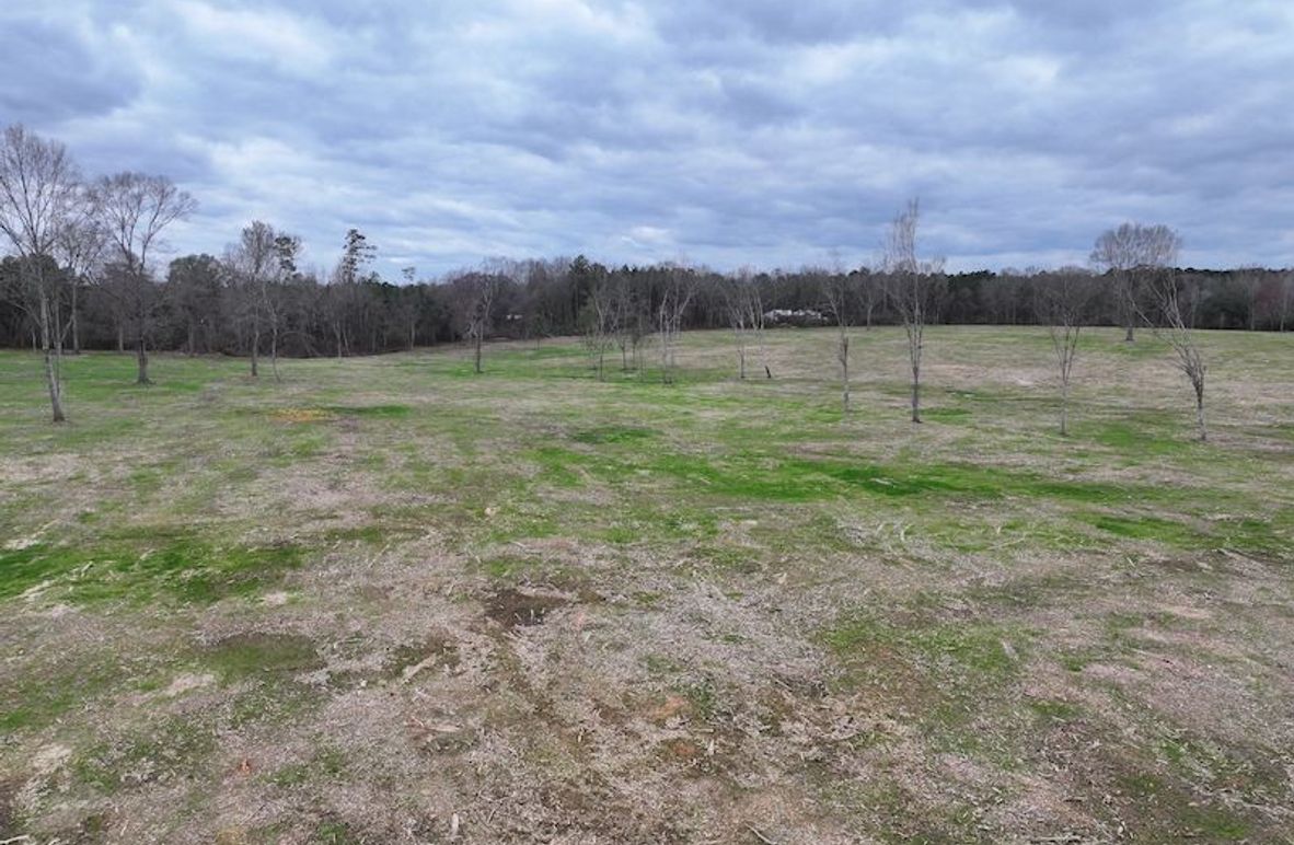 Copy of Copy of dji_fly_20260217_142842_0134_1771436910547_photo