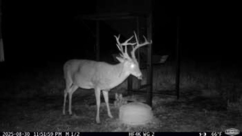 12a9d1cad1e30460a756b245a1c633c5-small