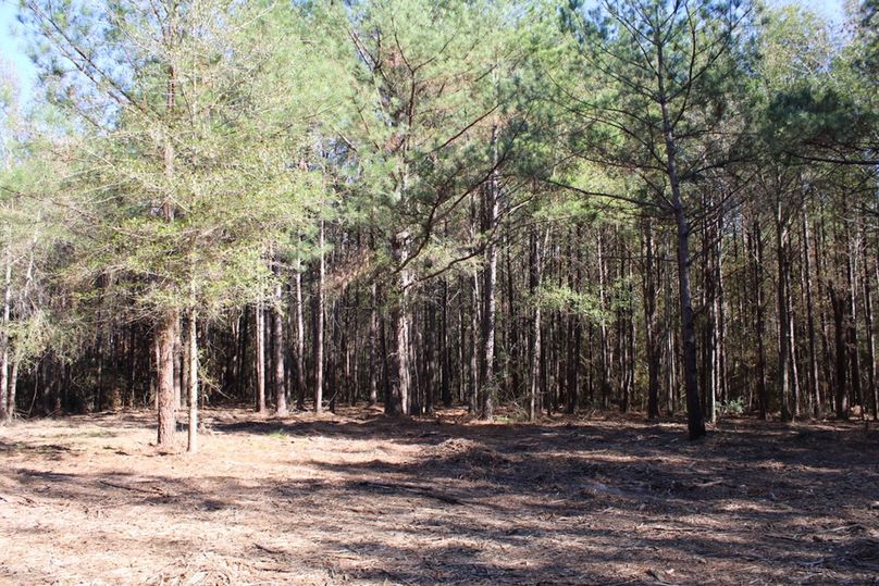 4D6488A4-8575-4612-9684-844CEF293161_1_105_c