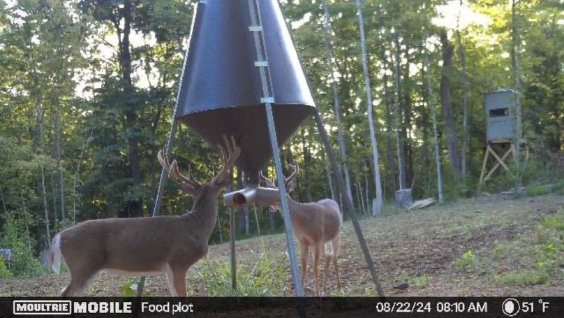 image638599199389328700