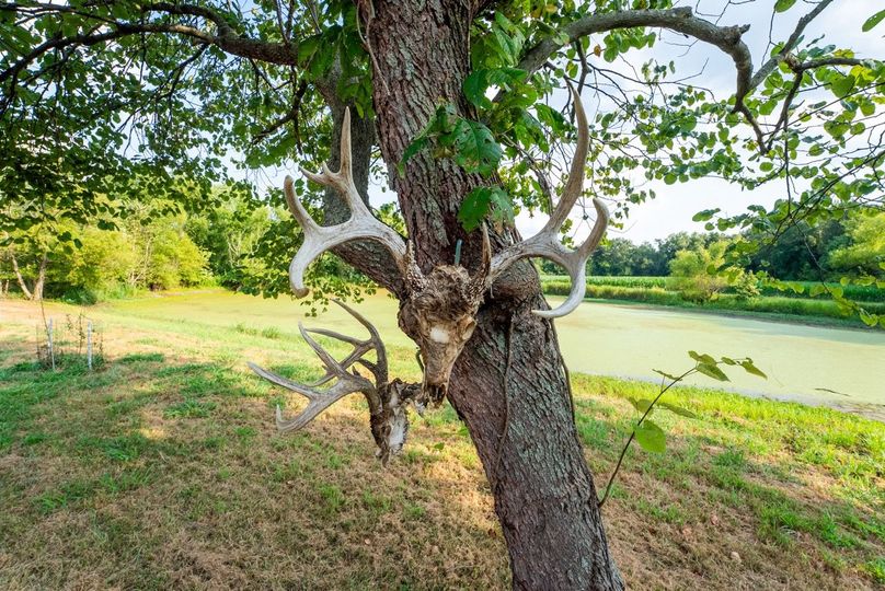 Copy of DSC06142 Large