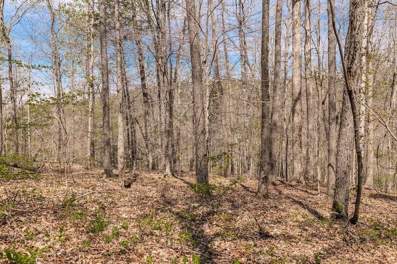 36-web-or-mls-0 Mound Creek Rd-6