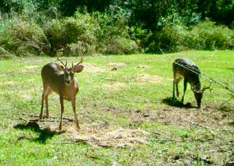 Screenshot_20201014-130838