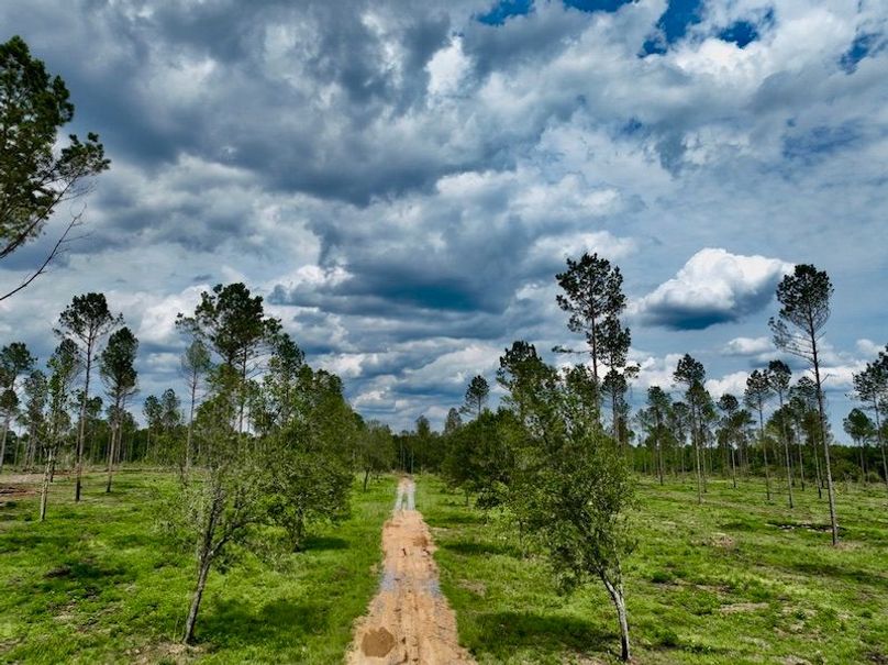 67B01E45-CB4F-44D8-B314-5CF1DB06FA84_1_105_c