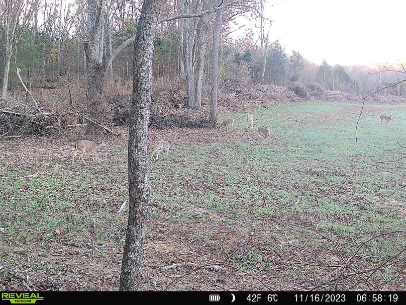 trail cam and harvest10