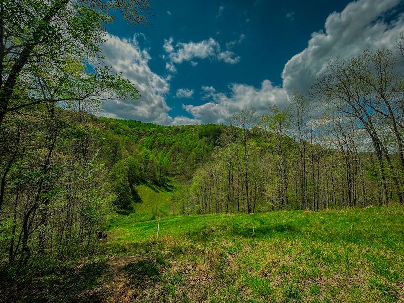 Doddridge, WV 64.69 AC Davis-07