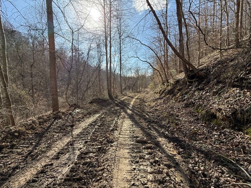 024 the newly opened trail_road system leading up the north valley to the upper reaches