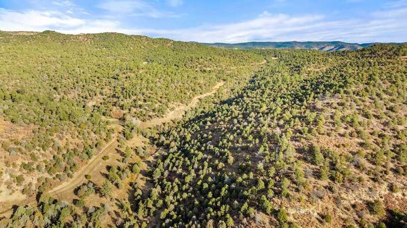 DJI_20251125100224_0072_D