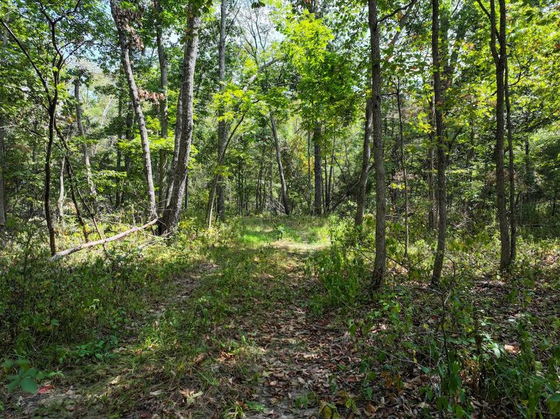 DJI_20250904124757_0591_D