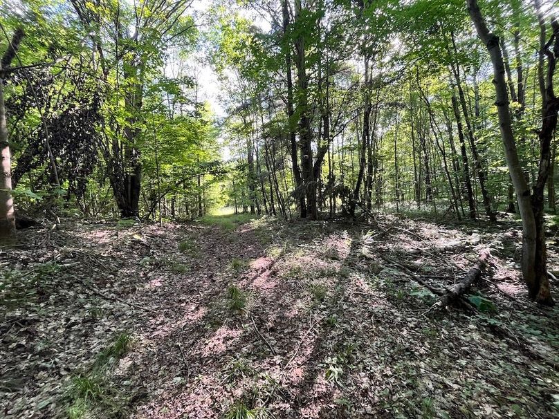 Jefferson_260.3_ Lobach_Photos_16