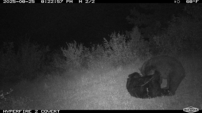 FD8BF03B-B065-4411-AA59-1A566DF46272