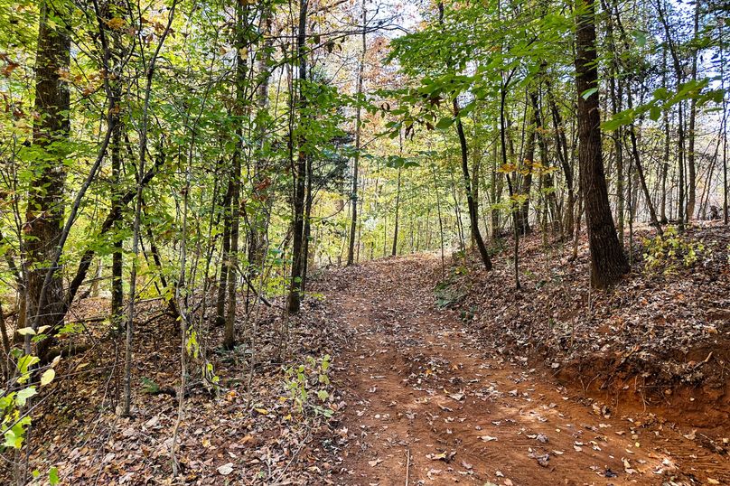 18 Trail 09