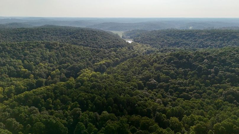 dji_fly_20250819_093352_0583_1755617546635_photo