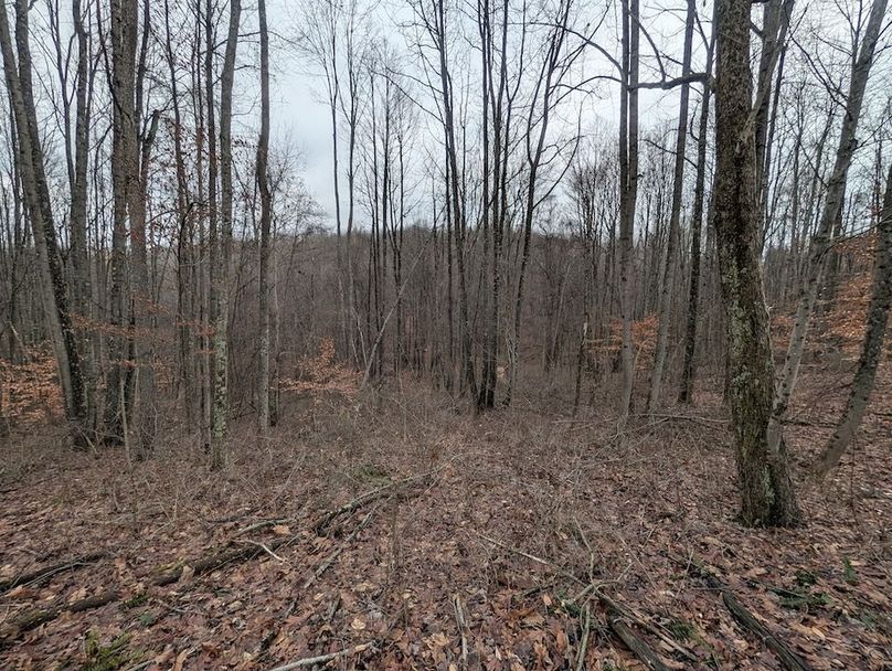 PXL_20260107_183706746.MP