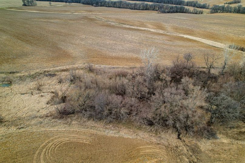 3605 Big Hill Rd.-40