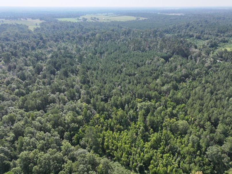 dji_fly_20250818_095144_0363_1755614658742_photo