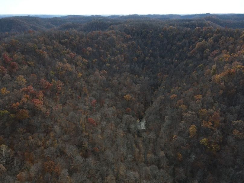 015 Bird_s eye view of the pond gently tucked away in the southwest fork
