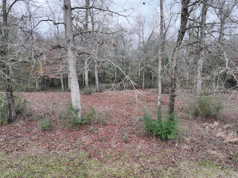 dji_fly_20260122_130946_0882_1769444803116_photo