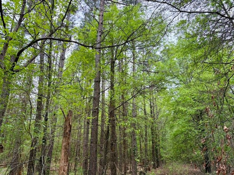 B40C2C17-D5CA-4BD5-B823-B6A02B6BBC68_1_105_c