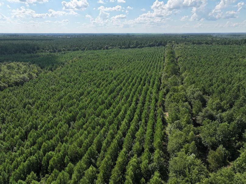 DJI_20240820163525_0008_D