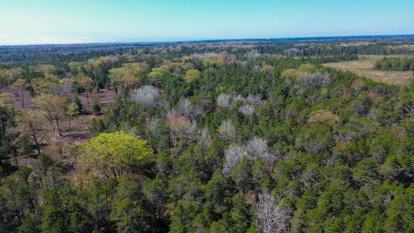 DJI_0102